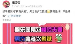 爆料圈内夫妻,揭秘明星夫妻背后的甜蜜与挑战
