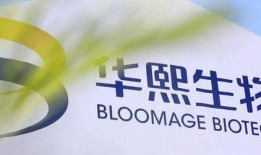 华熙科技爆料最新消息,揭秘行业前沿动态与突破性进展